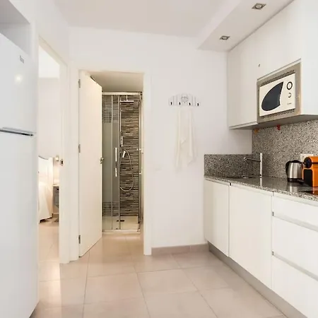 Piso En Primera Linea De Playa Del Postiguet *