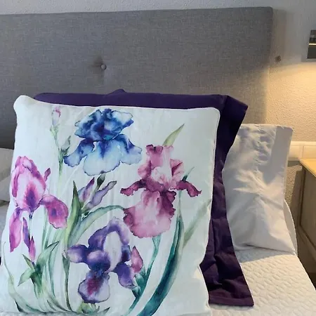 Piso En Primera Linea De Playa Del Postiguet *